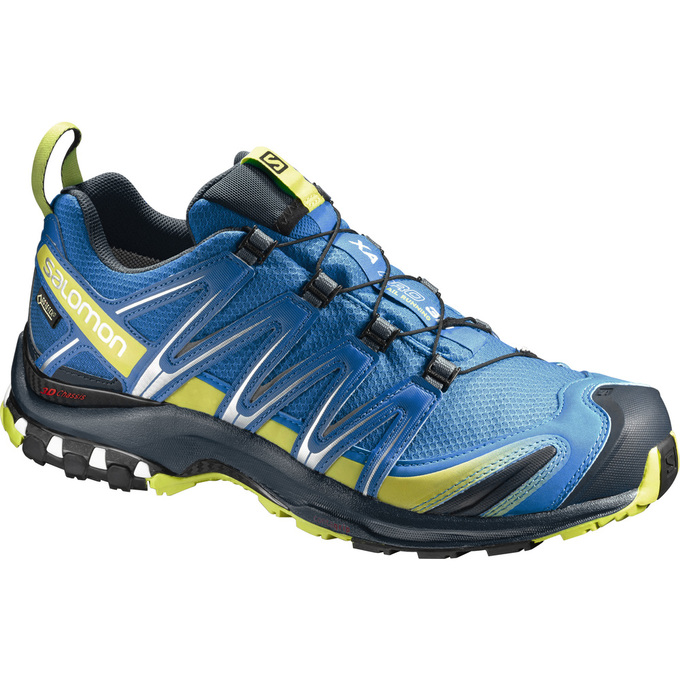 Salomon XA PRO 3D GTX® Zapatillas Trail Running Hombre - Azules - Colombia (14965-EAKQ)